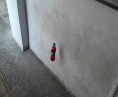 Special Report | कुत्र्यांच्या हैदोसावर अंधश्रद्धेचा उतारा?, एक अफवेनं नागपुरात घरोघरी लाल बाटल्या | ABP Majha 