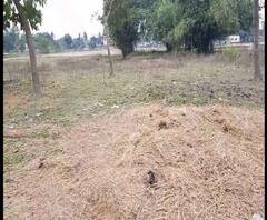 কালিয়াগঞ্জ 'গণধর্ষণ': অপরাধীদের কঠিন শাস্তির দাবি নির্যাতিতার মায়ের