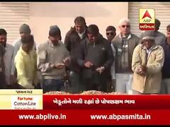 મુદ્દાની વાતઃ મગફળીના સારા ભાવથી ખેડૂતો ખૂશ, જુઓ અહેવાલ