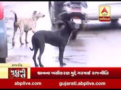 મુદ્દાની વાતઃ શ્વાનના ખસીકરણ મુદ્દે ગરમાઈ રાજનીતિ, જુઓ ખાસ અહેવાલ