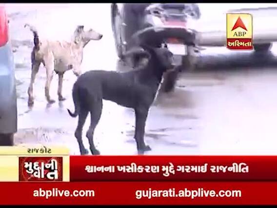 મુદ્દાની વાતઃ શ્વાનના ખસીકરણ મુદ્દે ગરમાઈ રાજનીતિ, જુઓ ખાસ અહેવાલ