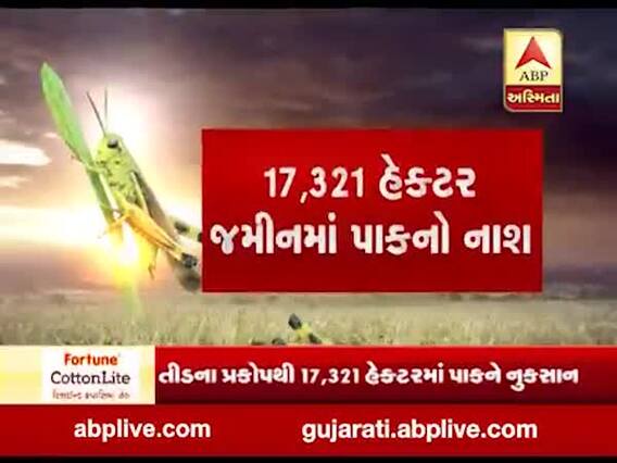 મુદ્દાની વાતઃ 17 હજાર હેક્ટર જમીનમાં તીડે કર્યું નુકસાન, જુઓ અહેવાલ