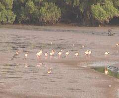 Rural News | माझं गाव माझा जिल्हा | गावाकडच्या बातम्यांचा वेगवान आढावा | 15 जानेवारी | ABP Majha