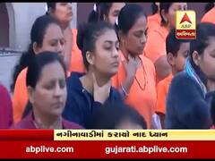 પ્રદુષણ અને ભાગદોડવાળી જિંદગીથી રાહત મેળવવા અમદાવાદના લોકો જોડાયા યોગ ફેસ્ટિવલમાં, જુઓ વીડિયો