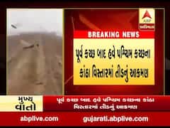 પૂર્વ કચ્છ બાદ હવે પશ્વિમ કચ્છના કાંઠા વિસ્તારમાં તીડનું આક્રમણ, જુઓ વીડિયો