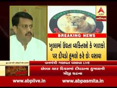 ગુજરાતમાં દીપડાની વસતી સિંહો કરતા પણ બમણીઃ મંત્રી ગણપત વસાવાનું નિવેદન, જુઓ વીડિયો