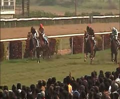 Reporter's Stories: ১ জানুয়ারি 'নিউ ইয়ার রেস' দেখতে রেস কোর্সে মানুষের ঢল