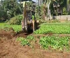 Thane Mayor | ठाण्यात सांडपाण्यात भाज्या पिकवणाऱ्यांवर घटनास्थळी जाऊन महापौर नरेश म्हस्केंची कारवाई 