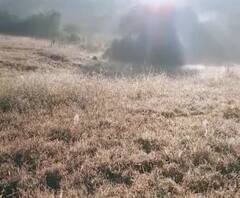 CM Uddhav Thackeray | मुख्यमंत्री उद्धव ठाकरे तीन दिवसांच्या सुट्टीवर, महाबळेश्वरमध्ये मुक्काम 