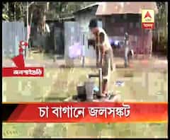 তরাই-ডুয়ার্স এলাকায় চা বাগানগুলিতে পানীয় জলের সঙ্কট, দুর্ভোগে শ্রমিকরা