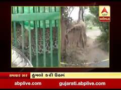 સુરત: માંડવીના વદેસિયામાં ઘરની બહાર તાપણું કરતા બાળક પર દિપડાનો હુમલો, જુઓ વીડિયો 