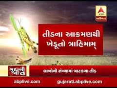 મુદ્દાની વાતઃ કચ્છના અબડાસામાં તીડનો આતંક, જુઓ અહેવાલ