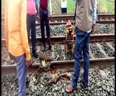 Reporter Stories: পাল্লারোডে স্থানীয় যুবকের তৎপরতায় দুর্ঘটনার হাত থেকে রক্ষা পেল বর্ধমান-হাওড়া লোকাল