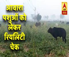 Ganga Prime: आवारा पशुओं को लेकर एबीपी गंगा का रियलिटी चेक | ABP Ganga