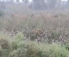 State News | राज्यातील बातम्यांचा वेगवान आढावा | बातम्या सुपरफास्ट | ABP Majha