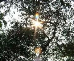 ফের জাঁকিয়ে শীত, সরস্বতী পুজোয় হতে পারে বৃষ্টিও