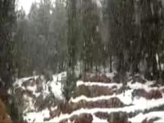 Snowfall in Kullu, temperature likely to drop further in Delhi-NCR