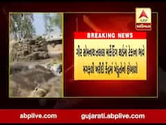 ગીર સોમનાથઃ તાલાલા માર્કેટિંગ યાર્ડમાં મગફળી રિજેક્ટ થતાં ખેડૂતોએ મચાવ્યો હોબાળો, જુઓ વીડિયો