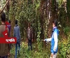 'সিসিটিভি-বন্দি জন্তু কোনওভাবেই বাঘ নয়' জানাল বন দপ্তর, আতঙ্কমুক্ত কোন্নগরবাসী