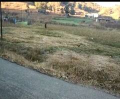 Nandurbar | सातपुड्याच्या दुर्गम भागात पारा घसरला, नंदुरबारमध्ये कडाक्याची थंडी | ABP Majha