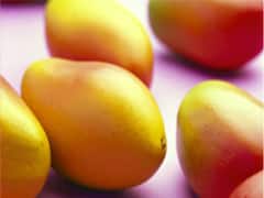 ગીરની કેસર કેરી માટે જોવી પડશે રાહ, જુઓ શું છે કારણ?