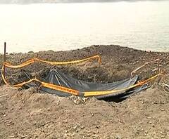 নৈহাটির বিস্ফোরণস্থল ঘিরে রেখেছে পুলিশ, তদন্তের আশ্বাস পার্থর, খবর এক ঝলকে