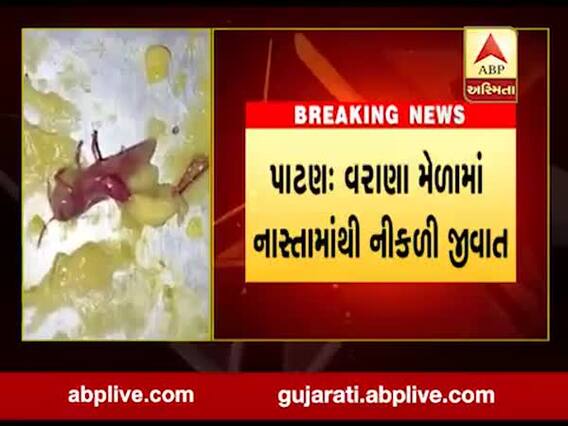 પાટણઃ વરાણા મેળામાં નાસ્તામાંથી નીકળી જીવાત, જુઓ વીડિયો