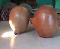 Rural News | माझं गाव माझा जिल्हा | गावाकडच्या बातम्यांचा वेगवान आढावा | ABP Majha