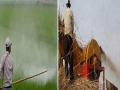 ખાતરની કૃત્રિમ તંગીનો રાજ્યના ખેડૂતો બની શકે છે શિકાર, જુઓ વીડિયો