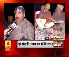 आगरा में आवारा पशुओं से कितने दुखी हैं किसान ? Agra | ABP Ganga