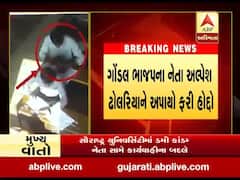 ડમીકાંડ: અલ્પેશ ઢોલરિયાને સરદાર પટેલ ભાદર ડેમ અસોસિયેશનના પ્રમુખ બનાવાયા