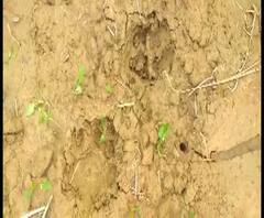 ঝাড়গ্রামে মিলল বাঘিনী অস্তিত্ব, বীরভূমে অনুব্রতর মন্তব্যে বিতর্ক, আরও জেলার বাছাই খবর দেখে নিন এক ঝলকে