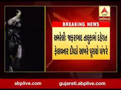 અમરેલીઃ જાફરાબાદમાં દહેશત મચાવનાર દીપડો પુરાયો પાંજરે, જુઓ વીડિયો