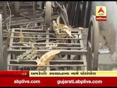 અમરેલી પાલિકાની ઘોર બેદરકારીનો વીડિયો થયો વાયરલ, જુઓ વીડિયો