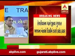 કેજરીવાલનો દિલ્હીનો ગઢ જીતવા ગુજરાતના બીજેપી નેતાઓ દિલ્હીમાં કરશે પ્રચાર, જુઓ વીડિયો