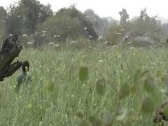 Rajasthan में टिड्डियों ने लाखों हेक्टेयर फसल को किया बर्बाद