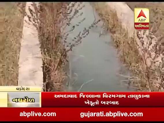 વડોદરાઃ વાઘોડિયામાં માઈનોર કેનાલમાં થયું ભંગાણ, જુઓ વીડિયો