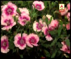 কলকাতা হাইকোর্টে শুরু পুষ্প প্রদর্শনী, চলবে ১৭ তারিখ পর্যন্ত