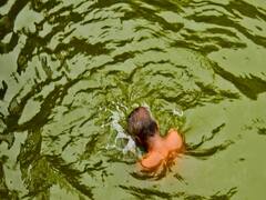Makar Sankranti: Pilgrims go for holy dip in Varanasi, Haridwar, Ayodhya