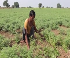 Special Report | नशिबाची साथ नाही, पण जिद्द अफाट! दिव्यांग शेतकरी श्रीराम बोचरेंची कथा | ABP Majha