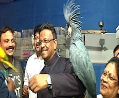 কালীঘাটে পাখি ও রঙিন মাছের প্রদর্শনী উদ্বোধনে মেয়র, চলবে রবিবার পর্যন্ত