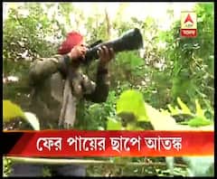 কোন্নগরের পর নদিয়ার শান্তিপুর, অজানা জন্তুর পায়ের ছাপ ঘিরে আতঙ্ক