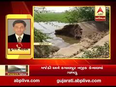 સુરેન્દ્રનગરઃ પાટડીમાં નર્મદાની માઇનોર કેનાલમાં પડ્યું ગાબડું, જુઓ વીડિયો