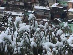 बर्फबारी ने बदल दी Shimla की तस्वीर, सैलानी खुश, कामकाजी परेशान