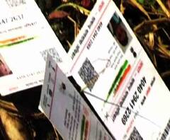 আধারের সঙ্গে সংযুক্ত হবে ভোটার কার্ড? আধার তথ্য সংগ্রহে সংসদে নতুন বিল আনছে মোদি সরকার