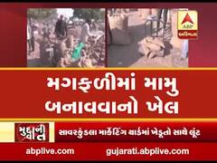 મુદ્દાની વાતઃ મગફળીમાં મામુ બનાવવાનો ખેલ, જુઓ ખાસ અહેવાલ