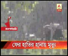 বাঁকুড়ায় মহিলাকে শুঁড়ে তুলে আছড়ে মারল হাতি! মৃত্যু