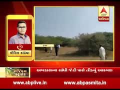 કચ્છના દરિયાકાંઠા વિસ્તારમાં ફરી શરૂ થયો તીડનો આતંક, જુઓ વીડિયો