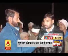 उन्नाव में आवारा पशुओं से कितने दुखी हैं किसान ? Unnao