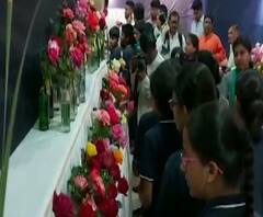 Dombivali Rose Festival | डोंबिवलीतील बालभवनात भरलं गुलाबपुष्प प्रदर्शन, 300 प्रकरचे गुलाब पाहण्याची संधी